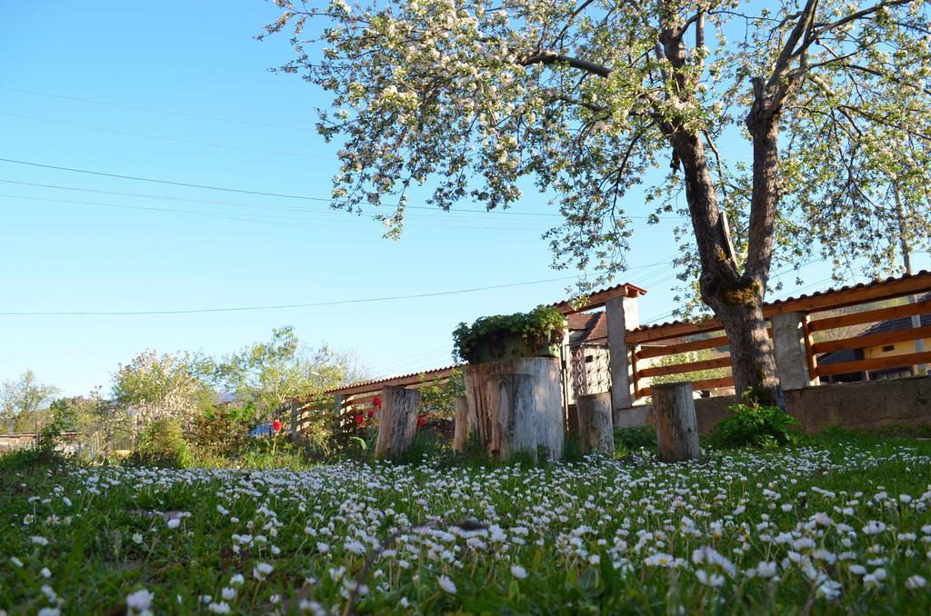 Villa Ribarica Esterno foto