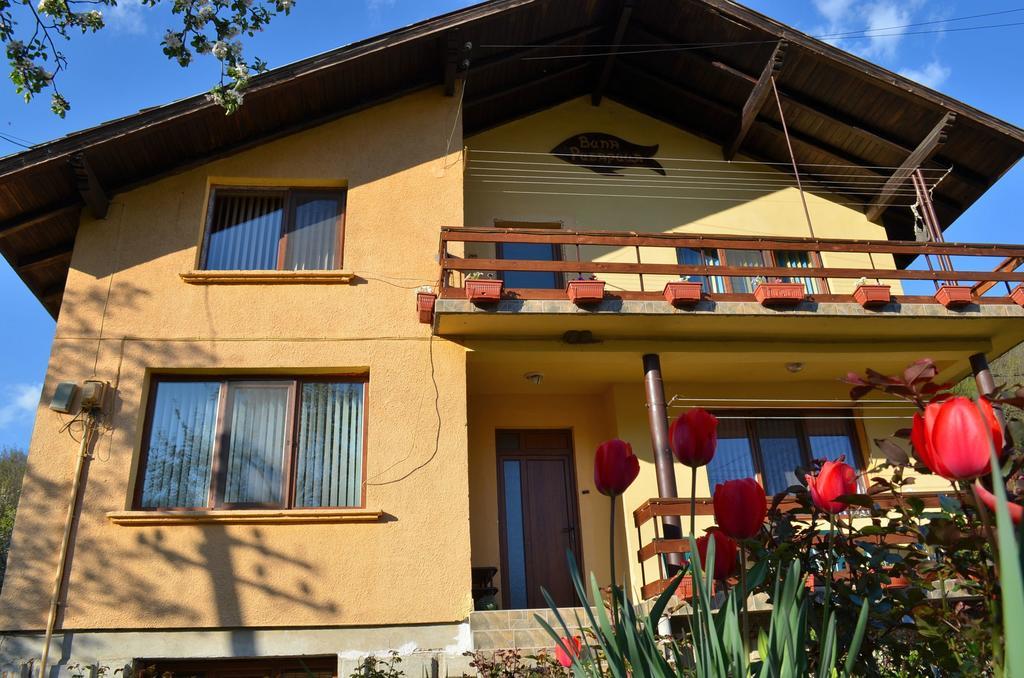 Villa Ribarica Esterno foto