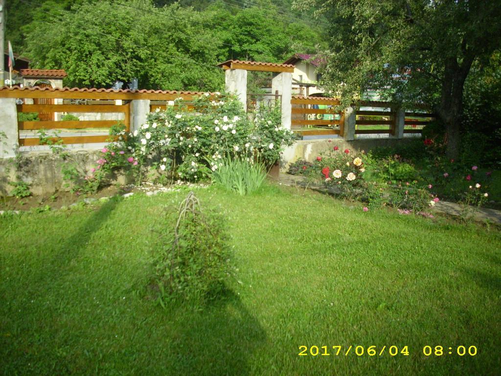 Villa Ribarica Esterno foto