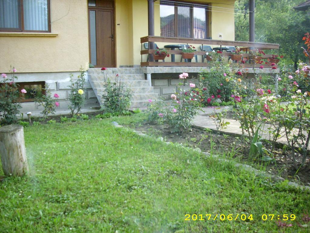 Villa Ribarica Esterno foto