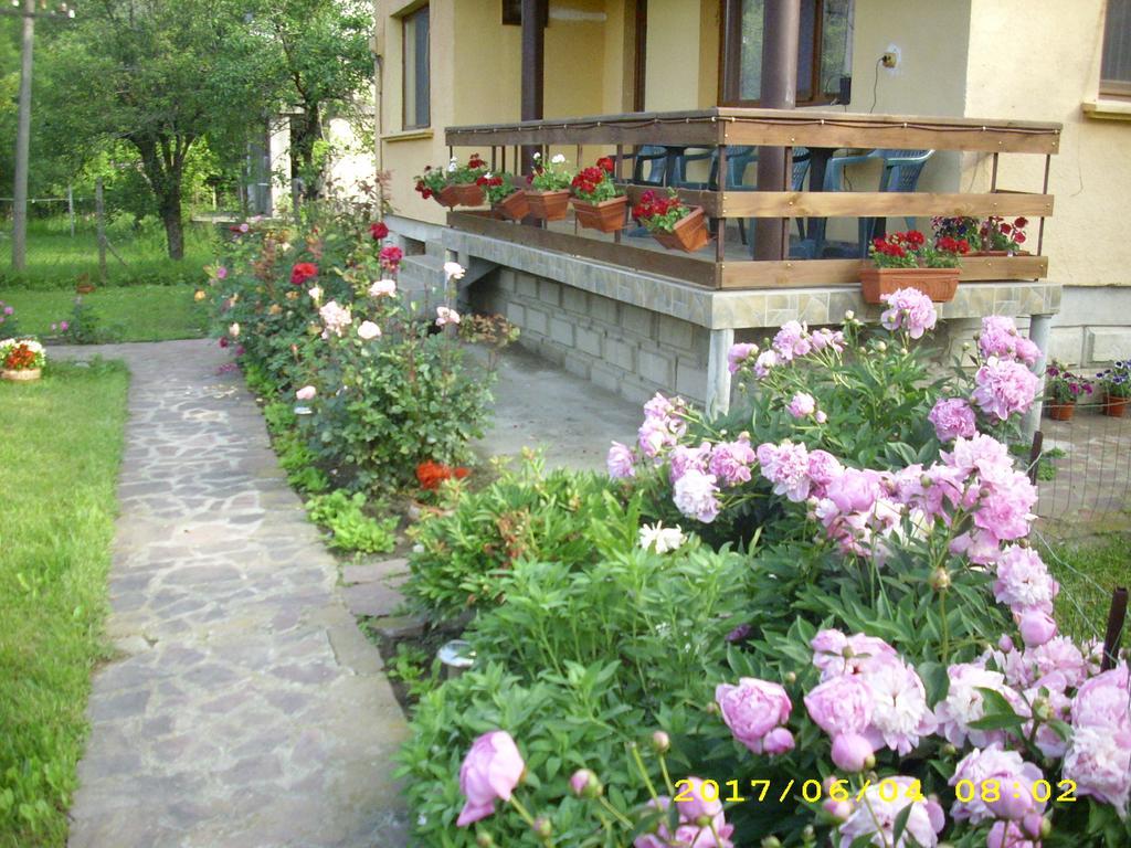 Villa Ribarica Esterno foto