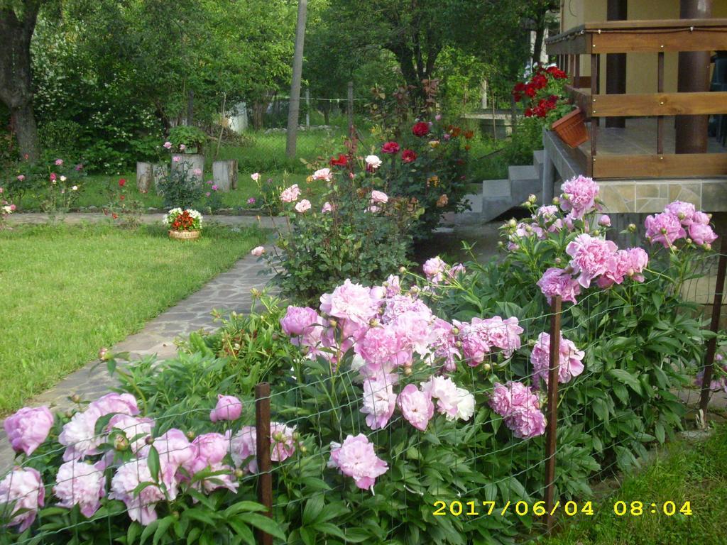 Villa Ribarica Esterno foto