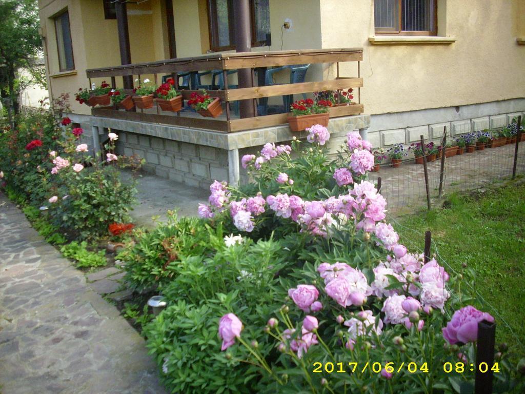 Villa Ribarica Esterno foto