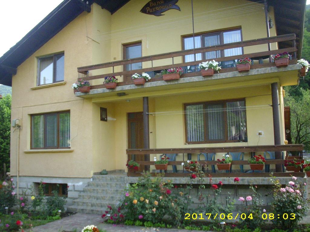 Villa Ribarica Esterno foto